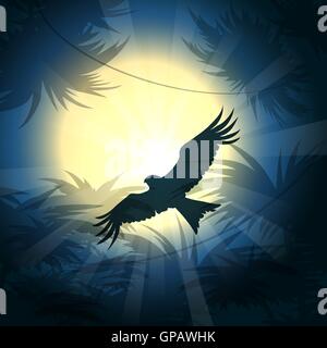 Engoulevent d'Amérique chasse mouches contre pleine lune au-dessus de la forêt tropicale. Vector illustration. Illustration de Vecteur