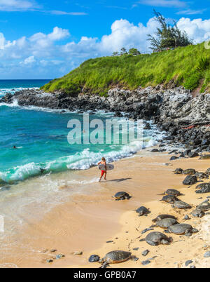 Tortues de mer vertes reste Hookipa Beach alors que les gens à profiter de la mer Banque D'Images