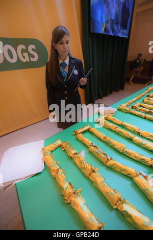 Interpoc The Official Judge of Guinness World Records, Anouk de Timary, holds ...