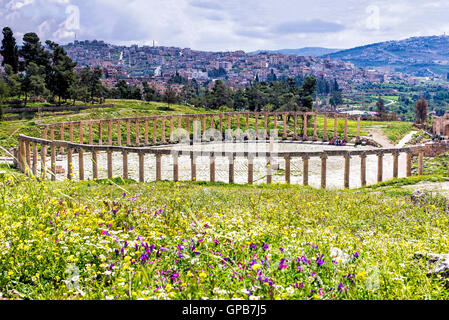 Vue sur le Forum ovale ancienne colonnade en Jerash, JORDANIE - Jerash est l'emplacement des ruines de la ville gréco-romaine de Gérasa. Banque D'Images