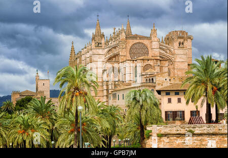 La Seu, cité médiévale cathédrale gothique de Palma de Mallorca, dans le jardin de palmiers, Espagne Banque D'Images