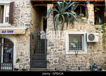 Vieille ville de Budva, Monténégro - l'Aloe Vera qui poussent sur la terrasse de la pierre Banque D'Images