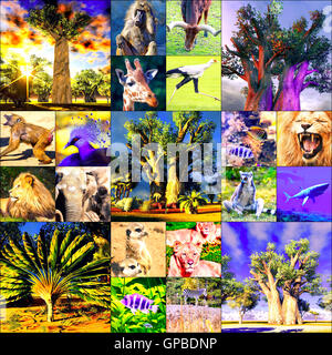 Différents animaux collage sur cartes postales Banque D'Images