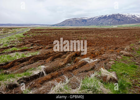 Champ labouré des terres agricoles dans l'agriculture en Islande Banque D'Images