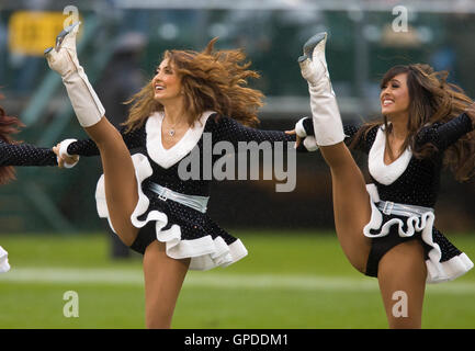 13 décembre 2009 ; Oakland, CALIFORNIE, États-Unis; les cheerleaders d'Oakland Raiderette jouent à la mi-temps contre les Redskins de Washington au Oakland-Alameda County Coliseum. Washington bat Oakland 34-13. Banque D'Images