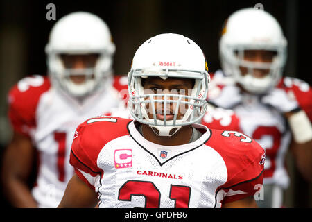 Le 24 octobre 2010, Seattle, WA, USA ; Arizona Cardinals running back Jason Wright (31) entre dans le champ avant le match contre les Seahawks de Seattle à Qwest Field. Banque D'Images