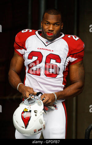 Le 24 octobre 2010, Seattle, WA, USA ; Arizona Cardinals running back Beanie Wells (26) entre dans le champ avant le match contre les Seahawks de Seattle à Qwest Field. Banque D'Images