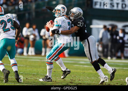 28 novembre, 2010 ; Oakland, CA, USA ; Miami Dolphins quarterback chad henne (7) est mise à sac par Oakland Raiders (direction générale de la sûreté tyvon 33) au cours du deuxième trimestre à Oakland-Alameda County Coliseum. Banque D'Images