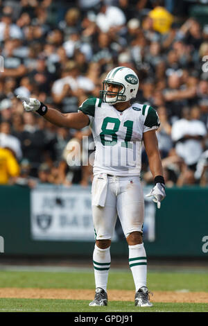 Sep 25, 2011 ; Oakland, CA, USA ; new york jets tight end dustin Keller (81) s'aligne pour une pièce contre les Oakland Raiders au cours du quatrième trimestre à o.co coliseum. oakland défait new york 34-24. Banque D'Images