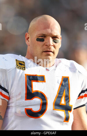 Nov 27, 2011 ; Oakland, CA, USA ; Chicago Bears milieu linebacker brian urlacher (54) à l'écart contre les raiders d'Oakland au cours du quatrième trimestre à o.co coliseum. oakland chicago défait 25-20. Banque D'Images