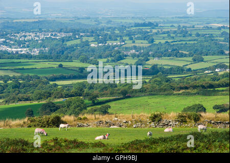 Les paysages ruraux dans le Dartmoor Banque D'Images