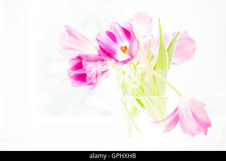 Un arrangement de couleurs vives, rose tulipes dans un vase de verre transparent sur un fond blanc. Banque D'Images