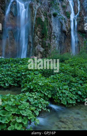 Cascade Veliki Slap partie principale dans le parc national des Lacs de Plitvice, Croatie Banque D'Images