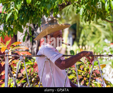 Vieil homme fumant un cigare sous un arbre dans le peuple cubain soleil d'hiver. Vallée de Vinales Banque D'Images