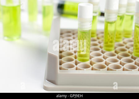 Flacons de liquide vert dans un flacon eack sur un plan de travail de laboratoire blanc Banque D'Images