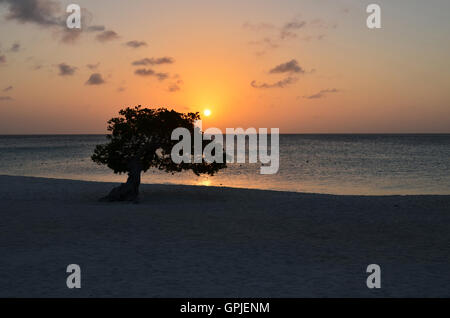 Très joli ton orange sunse Eagle Beach à Aruba. Banque D'Images