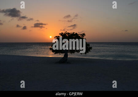 Joli coucher de soleil sur la plage d'Eagle à Aruba. Banque D'Images