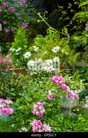 Belle maison jardin en été Banque D'Images