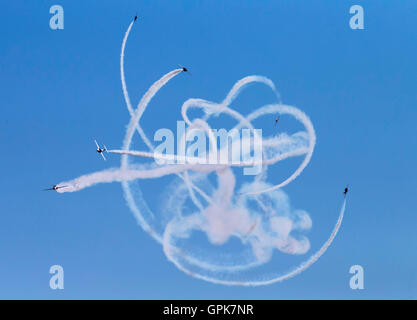 Toronto, Canada. 3e, 2016 Sep. L'Aviation canadienne Snowbirds effectuent au cours de la 2016 Canadian International Air Show de Toronto, Canada, 3 septembre 2016. Le coup d'envoi le samedi, le plus important et le plus ancien salon de l'aviation devrait attirer des milliers de spectateurs. Credit : Zou Zheng/Xinhua/Alamy Live News Banque D'Images