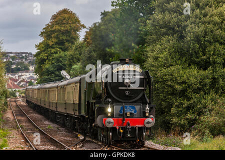 Paignton, Devon. 4e septembre 2016. L'Express, Torbay Paignton en vapeur de tornade. Credit : Barry Bateman/ Alamy Live News Banque D'Images