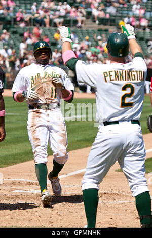 5 Septembre, 2010 ; Oakland, CA, USA ; Oakland Athletics center fielder Rajai Davis (11) marque un point contre les Los Angeles Angels au cours de la troisième manche au Oakland-Alameda County Coliseum. Los Angeles Oakland défait 7-4. Banque D'Images