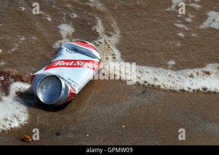 Zoé sur une plage de la mer. Banque D'Images