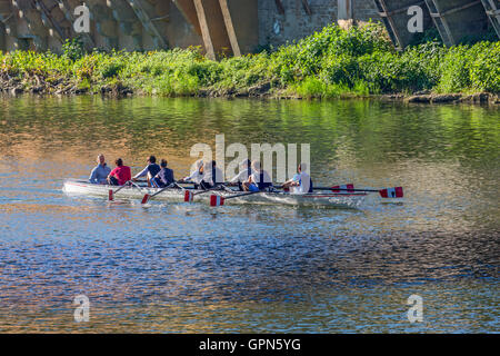 8-man sculling bateau sur une rivière Banque D'Images