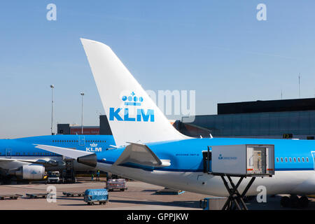 KLM Boeing 747 stationné à l'aéroport de Schiphol, l'aéroport KLM accueil. Banque D'Images