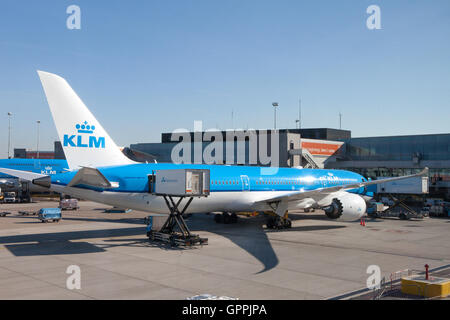 KLM Boeing 747 stationné à l'aéroport de Schiphol, l'aéroport KLM accueil. Banque D'Images