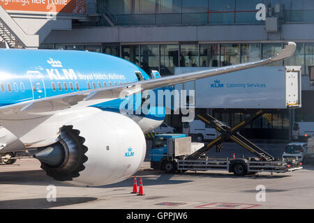 KLM Boeing 747 stationné à l'aéroport de Schiphol, l'aéroport KLM accueil. Banque D'Images