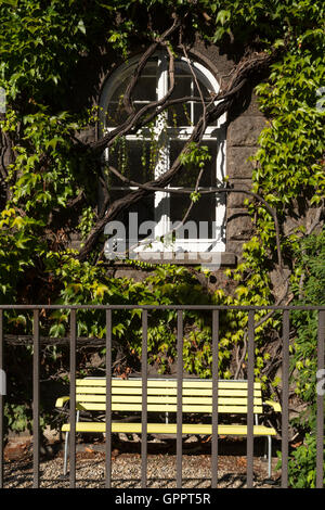 Un ancien hôtel particulier, le Demi-fenêtre ronde avec cadre blanc et vert envahi par la vigne. Un banc jaune debout sous. Banque D'Images