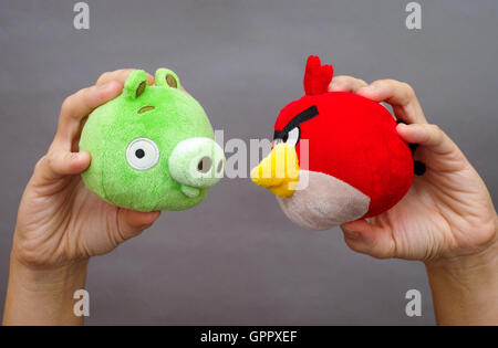 Tambov, Fédération de Russie - Mars 03, 2016 Angry Bird rouge et vert Bad Piggy jouets mous en personne les mains sur fond gris. Banque D'Images