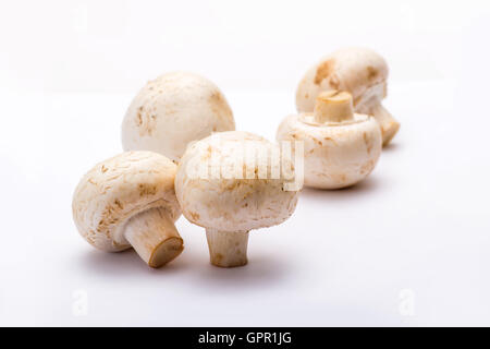 Cinq champignons Champignon Banque D'Images