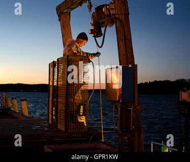 Un pêcheur décharge son bateau au quai de la ville sur un soir de Décembre à Bar Harbor, Maine. Banque D'Images