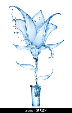 Fleur bleue fait des projections d'eau de verre isolé sur fond blanc Banque D'Images