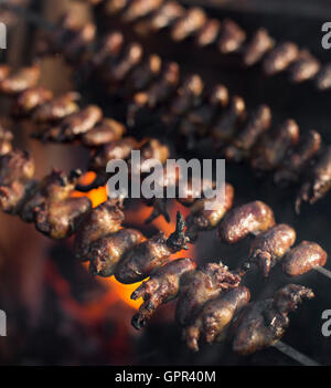 Churrasco, traditionnel brésilien, barbecue Brochettes de poulet grillé au cœur. Banque D'Images