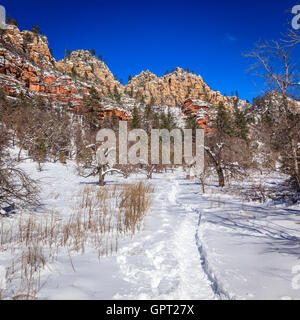 Fourche ouest sentier près de Oak Creek de Sedona, Arizona en hiver Banque D'Images