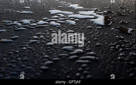 Goutte d'eau sur une surface brillante après la pluie Banque D'Images