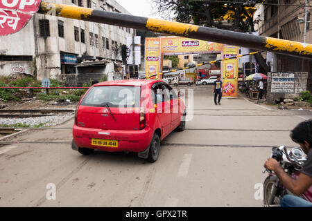 Les canards de l'automobiliste sous une barrière de clôture à un passage à niveau Banque D'Images