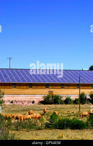 Bâtiments agricoles avec un toit recouvert de panneaux solaires pour produire de l'électricité et générer des revenus et à réduire les dépenses Banque D'Images