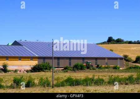 Bâtiments agricoles avec un toit recouvert de panneaux solaires pour produire de l'électricité et générer des revenus et à réduire les dépenses Banque D'Images