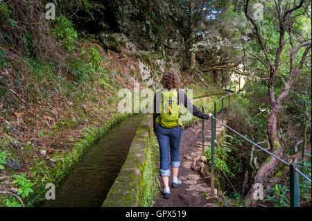 Femme marche sur levada 25 fontaines de Rabacal, l'île de Madère. Banque D'Images