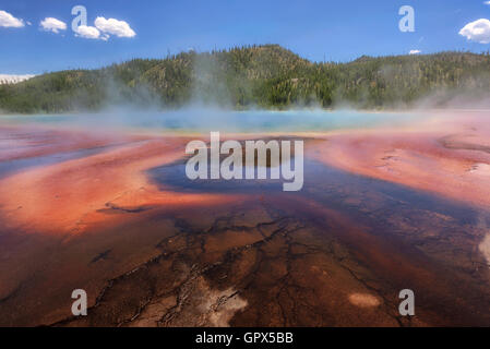 La vapeur s'élève au-dessus de la magnifique geyser Grand Prismatic Spring Banque D'Images