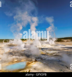 Dans la Vallée des geysers Norris Geyser Basin sur une journée ensoleillée. Le Parc National de Yellowstone USA Banque D'Images