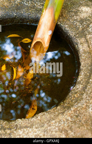 Bassin d'eau traditionnels japonais fragment Tsukubai avec pipe du bambou submergé dans l'eau Banque D'Images