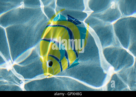 Ornements décoratifs sur une piscine en bas. Banque D'Images