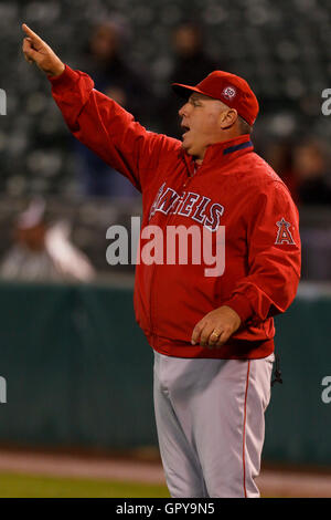 16 mai, 2011 ; Oakland, CA, USA ; Los Angeles Angels manager Mike Scioscia (14) apporte droit fielder Torii Hunter (pas sur la photo) dans l'avant-champ au cours de la dixième manche contre les Athletics d'Oakland au Oakland-Alameda County Coliseum. Oakland défait Lo Banque D'Images