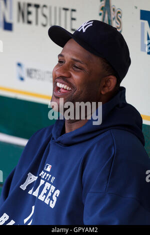 31 mai, 2011 ; Oakland, CA, USA ; new york yankees cc sabathia pitcher de départ (52) se trouve dans l'abri avant le match contre les Oakland Athletics d'Oakland-Alameda County Coliseum. new york oakland défait 10-3. Banque D'Images