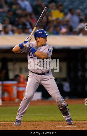 14 juin 2011, Oakland, CA, USA ; Kansas City Royals catcher matt treanor (15) à la batte contre les athletics d'Oakland au cours de la cinquième manche à Oakland-Alameda County Coliseum. Kansas city oakland défait 7-4. Banque D'Images