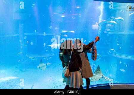 Le Japon, l'Aquarium d'Osaka Kaiyukan,. L'intérieur. Trois jeunes femmes japonaises prenant en selfies avant de l'immense réservoir de l'océan Pacifique avec les requins et raies. Banque D'Images